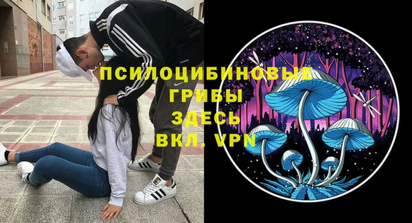 спайс Алзамай