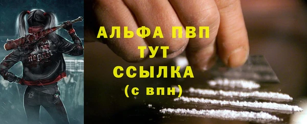 дмт Алексин
