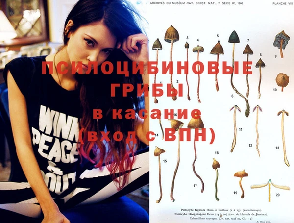 спайс Алзамай