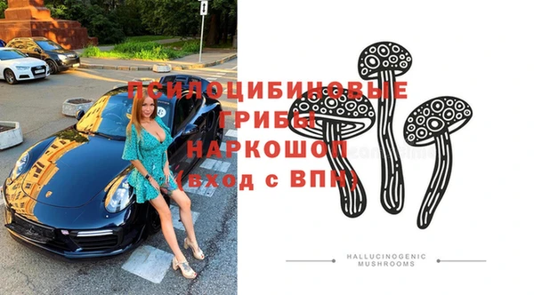 спайс Алзамай