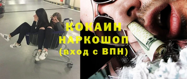 спайс Алзамай