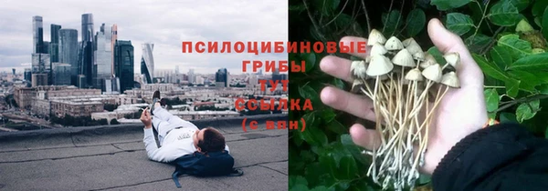 спайс Алзамай