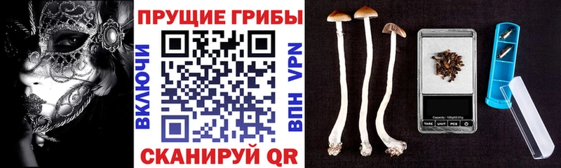 Галлюциногенные грибы GOLDEN TEACHER Шумиха